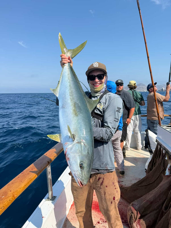 straightlines.jasper